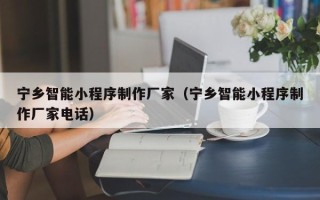 浚县宁乡智能小程序制作厂家（宁乡智能小程序制作厂家电话）